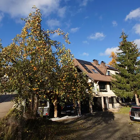 Biber * Feldberg (Baden-Wurttemberg)