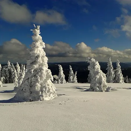 Appartement Biber Feldberg (Baden-Wurttemberg)