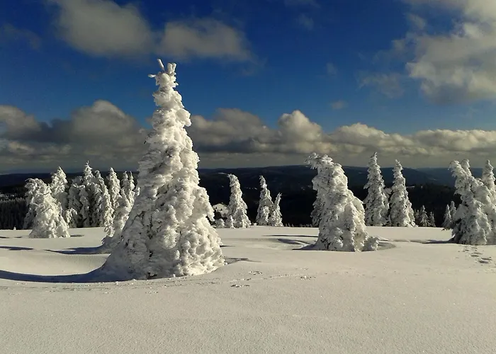 Apartmán Biber Feldberg (Baden-Wurttemberg)